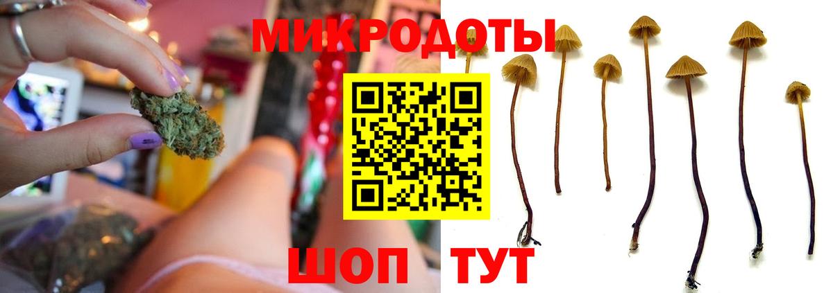 Галлюциногенные грибы MAGIC MUSHROOMS Трёхгорный